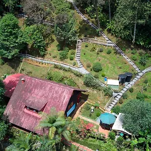 https://bosque-de-niebla-birding-nature.cali-hotels.com
